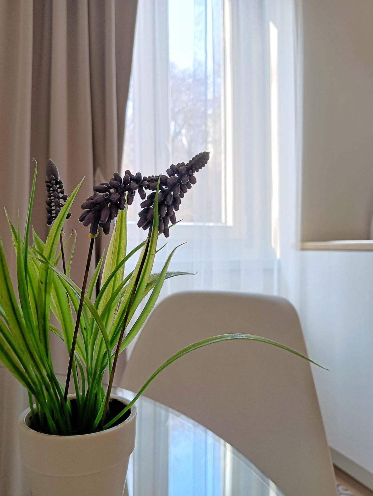 טריאסטה Tesa2 Casa Vacanze מראה חיצוני תמונה